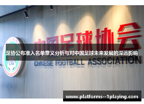 足协公布准入名单意义分析与对中国足球未来发展的深远影响
