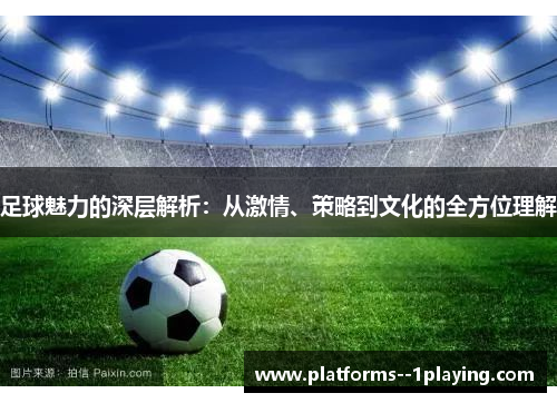 足球魅力的深层解析：从激情、策略到文化的全方位理解