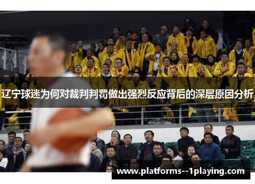 辽宁球迷为何对裁判判罚做出强烈反应背后的深层原因分析