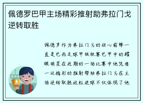 佩德罗巴甲主场精彩推射助弗拉门戈逆转取胜